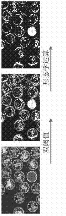 Method of recognizing blank mixing in coins and apparatus thereof