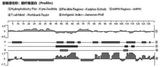 A method for evaluating the allergenicity of natural bee pollen and enzymatically broken bee pollen