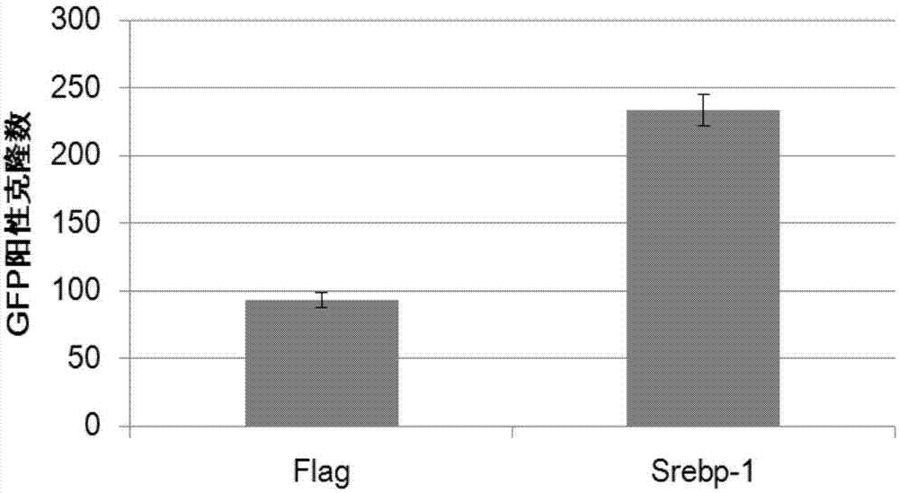 Method for changing cell fate and applications thereof