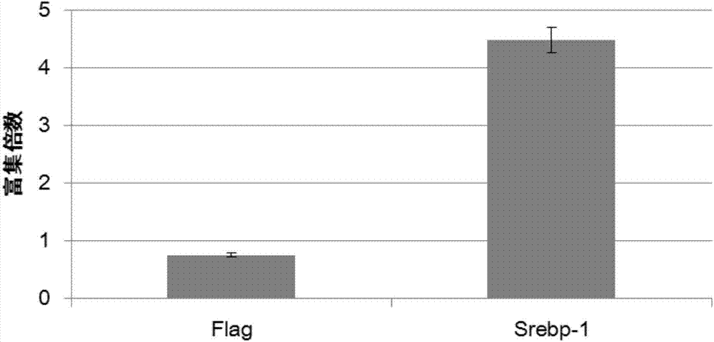 Method for changing cell fate and applications thereof