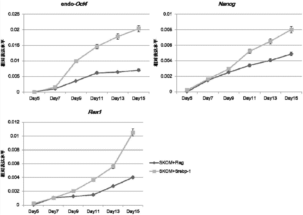 Method for changing cell fate and applications thereof