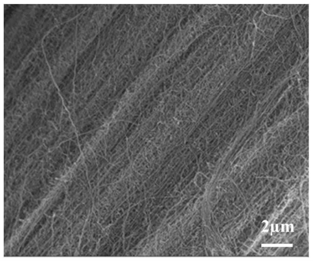 A molybdenum diselenide/carbon nanotube array composite electrode, preparation method and application
