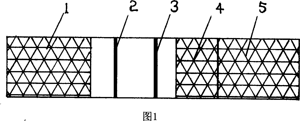Immuno magnetic bead and producing method, and method and test plate for detection