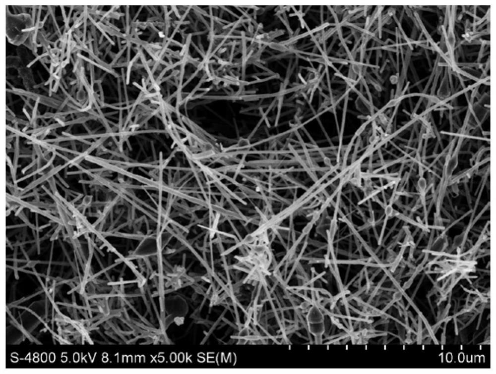 High-conductivity and high-stability carbon nanotube compound conductive paste for lithium ion battery and preparation method of high-conductivity and high-stability carbon nanotube compound conductive paste