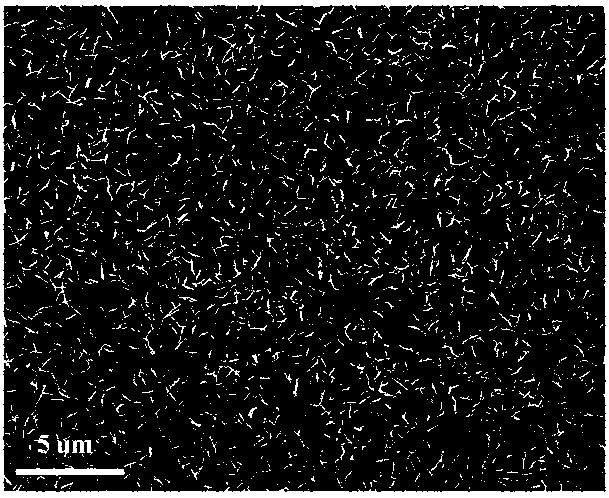 Fabrication and Application of Plasmonic Au/ZnO Composite Nanosheet Array Devices