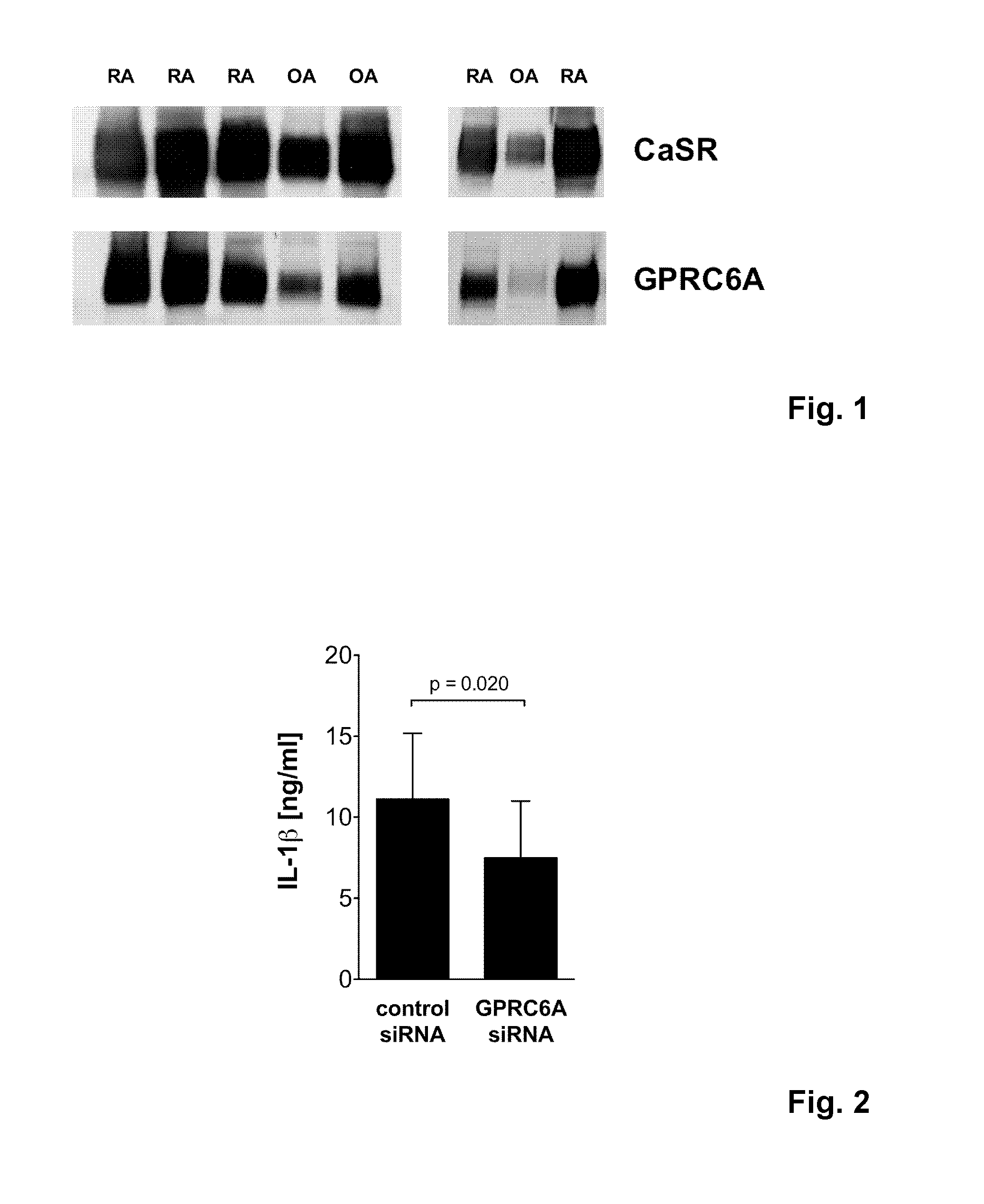 Method and compositions for the identification of agents that have a potential effect against chronic inflammatory diseases