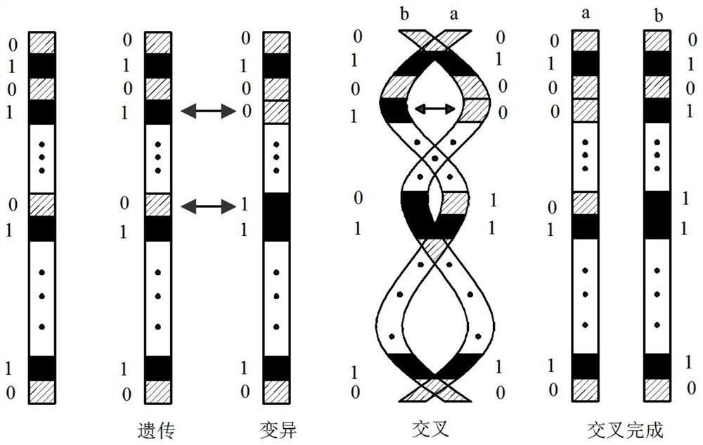 An optimization method for buoyancy block configuration of deepwater drilling riser system based on genetic algorithm