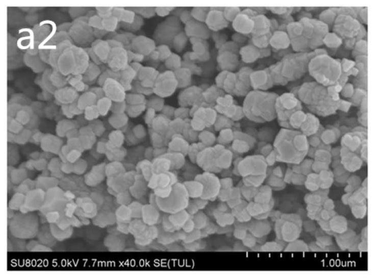 A kind of immunomagnetic beads and its preparation method and application