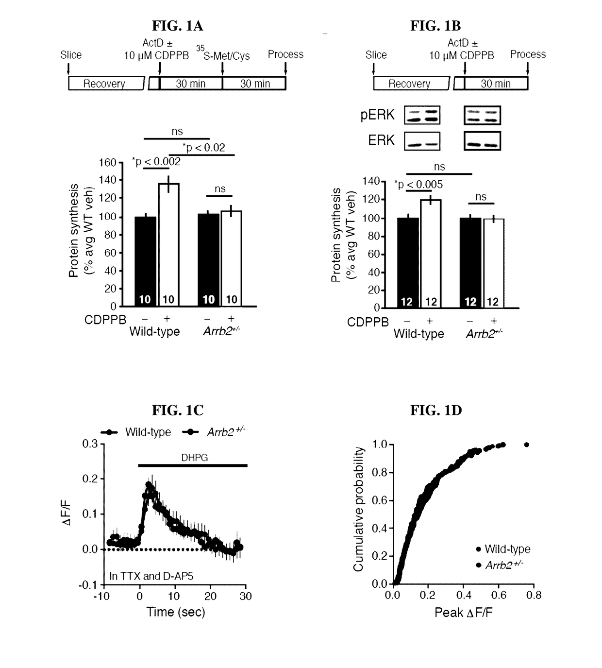 Methods of treating fragile x syndrome and related disorders