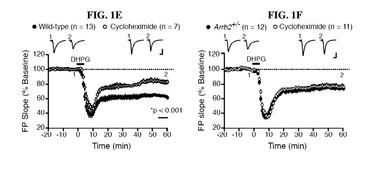 Methods of treating fragile x syndrome and related disorders