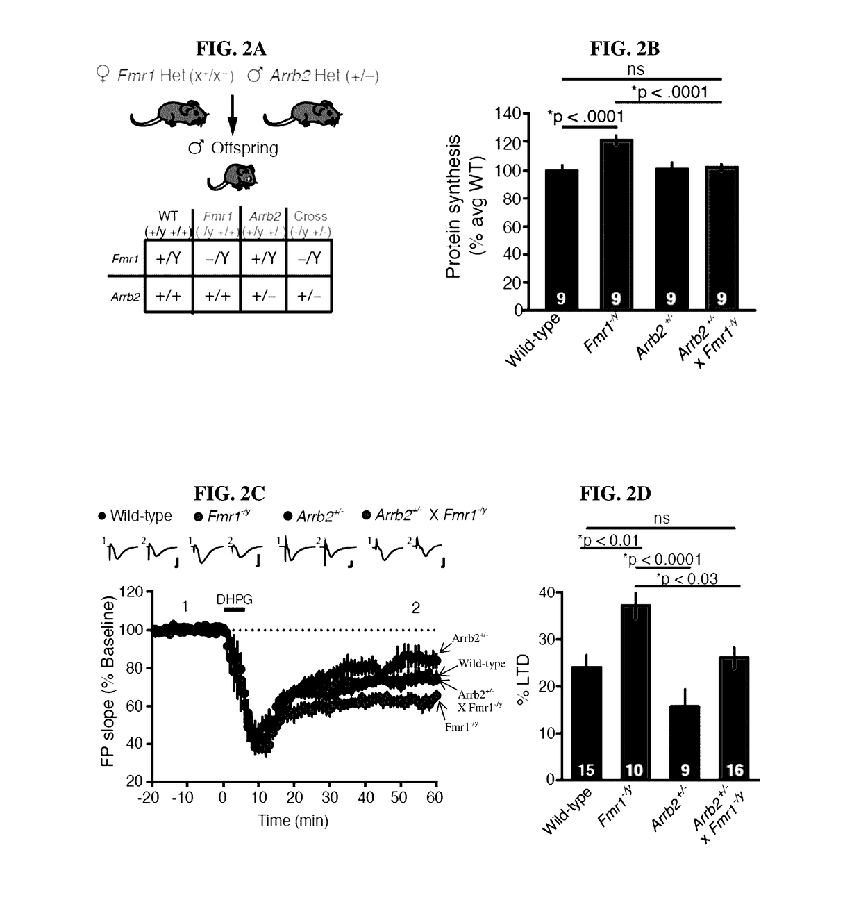 Methods of treating fragile x syndrome and related disorders