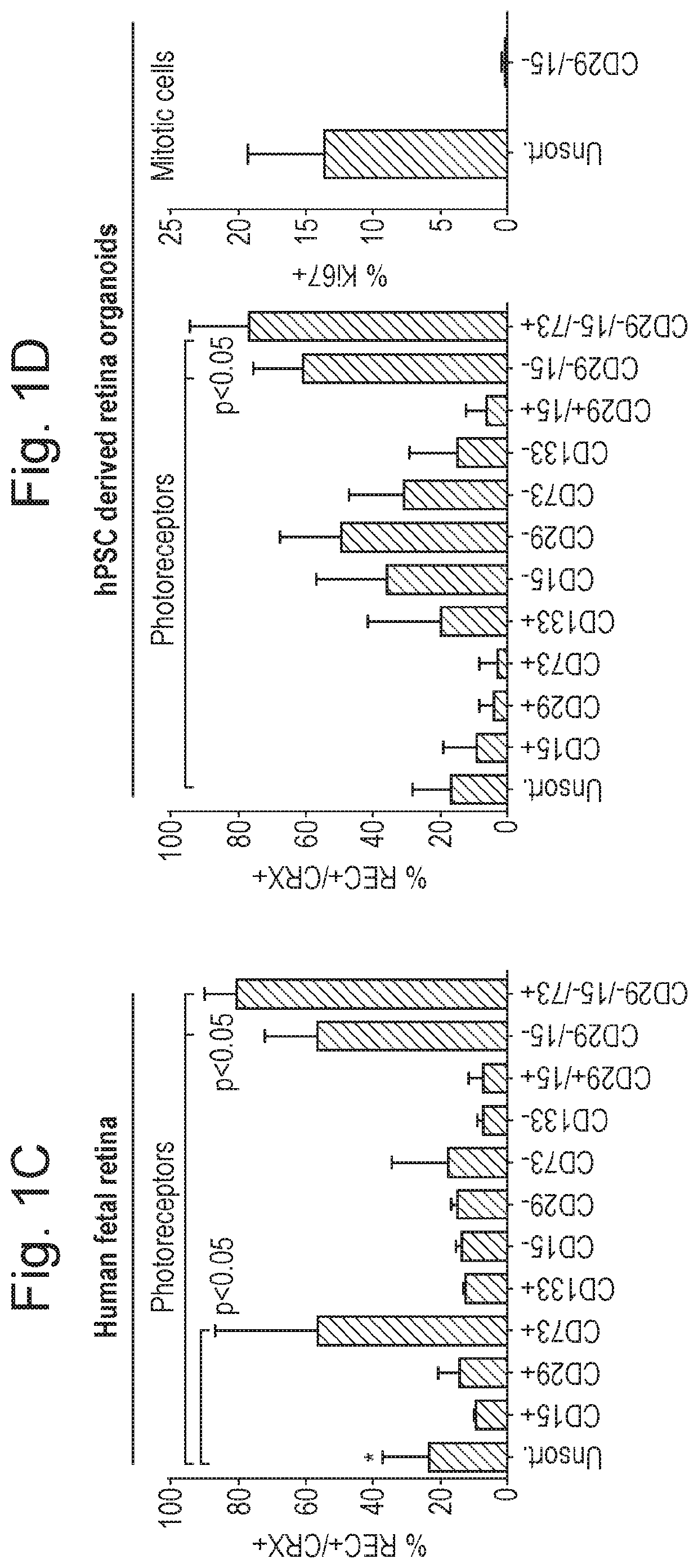 Biomarkers for photoreceptor cells