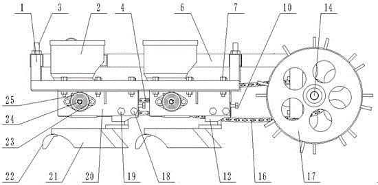 A front imitation form Panax notoginseng planter