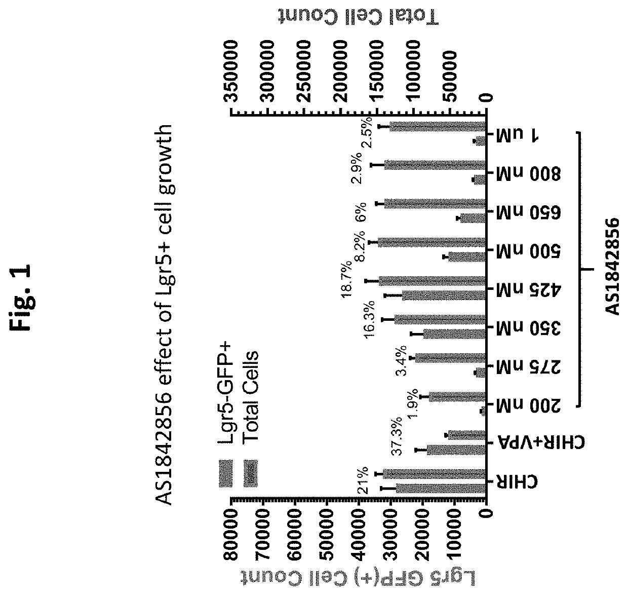 Compositions and methods for generating hair cells by downregulating foxo