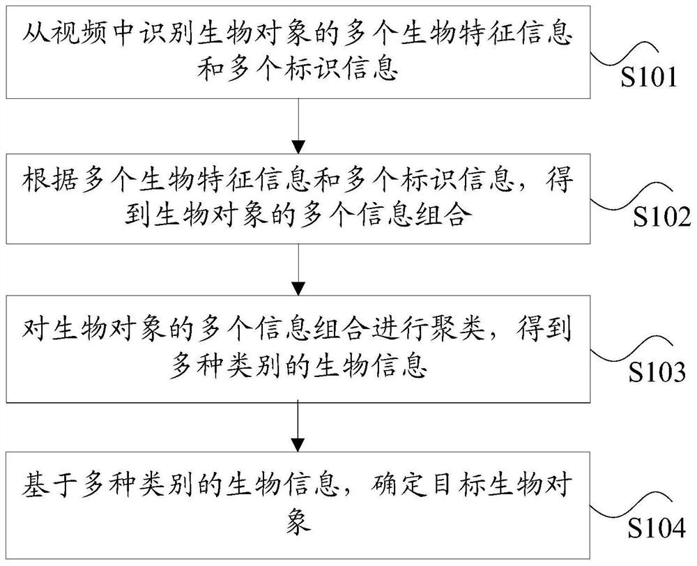 Biological object identification method and device