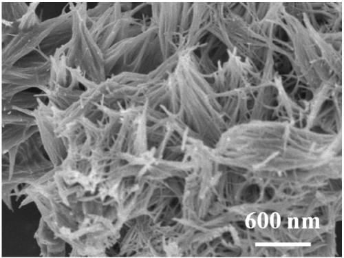 A preparation method of yttrium zirconate ceramic glaze with photocatalytic function