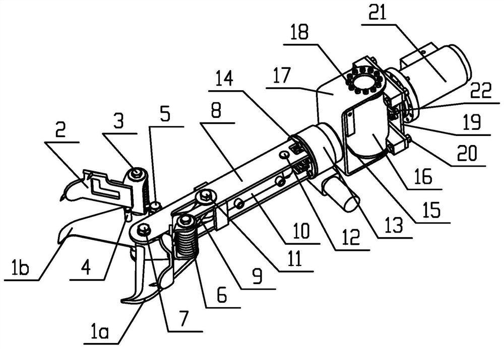 Self-adaptive oil palm fruit picking cutter and picking execution device thereof
