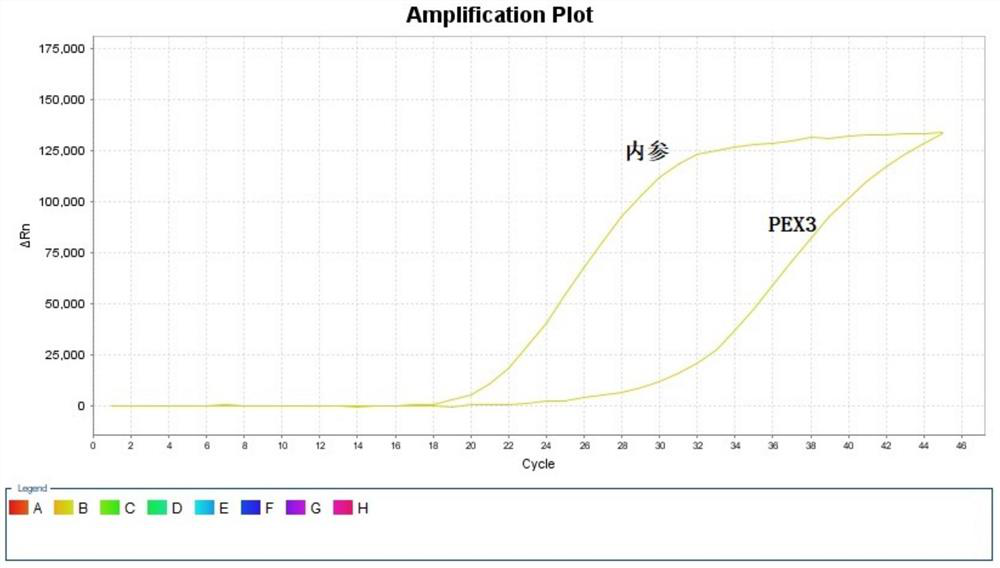 Kit for evaluating treatment sensitivity and/or drug resistance of apatinib