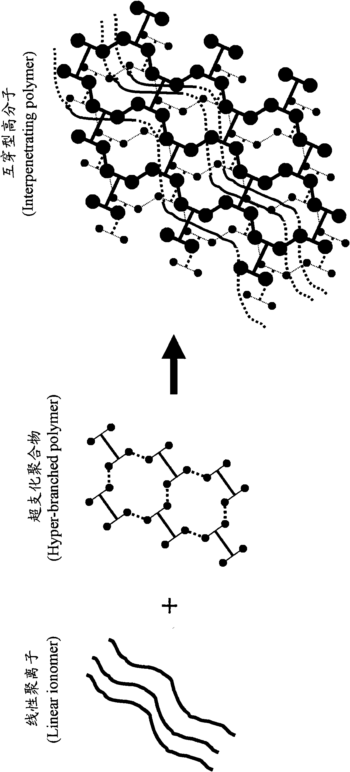 Modified hyperbranched polymer (HBP), proton exchange membrane prepared by using same and preparation method of proton exchange membrane