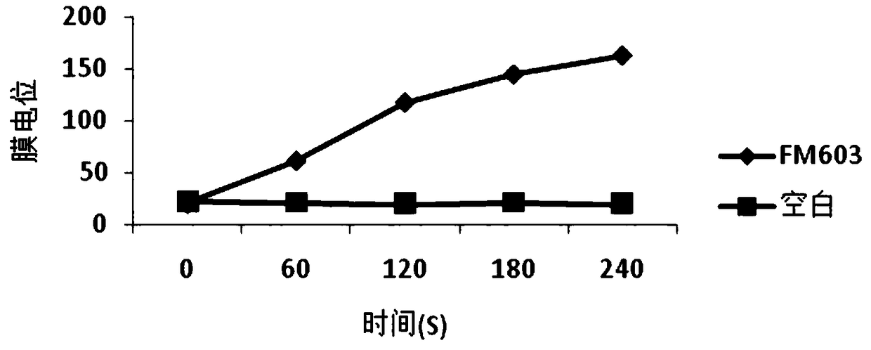 Bacteriocin produced by bacillus coagulans fm603 and its preparation method