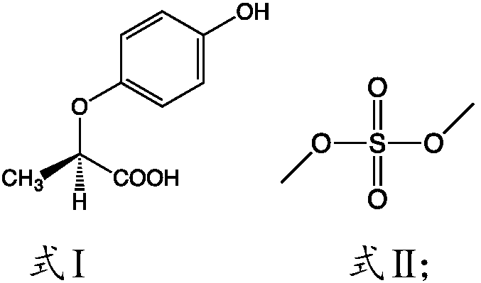 Method for preparing methyl R-(+)-2-(4-hydroxyphenoxy)propionate