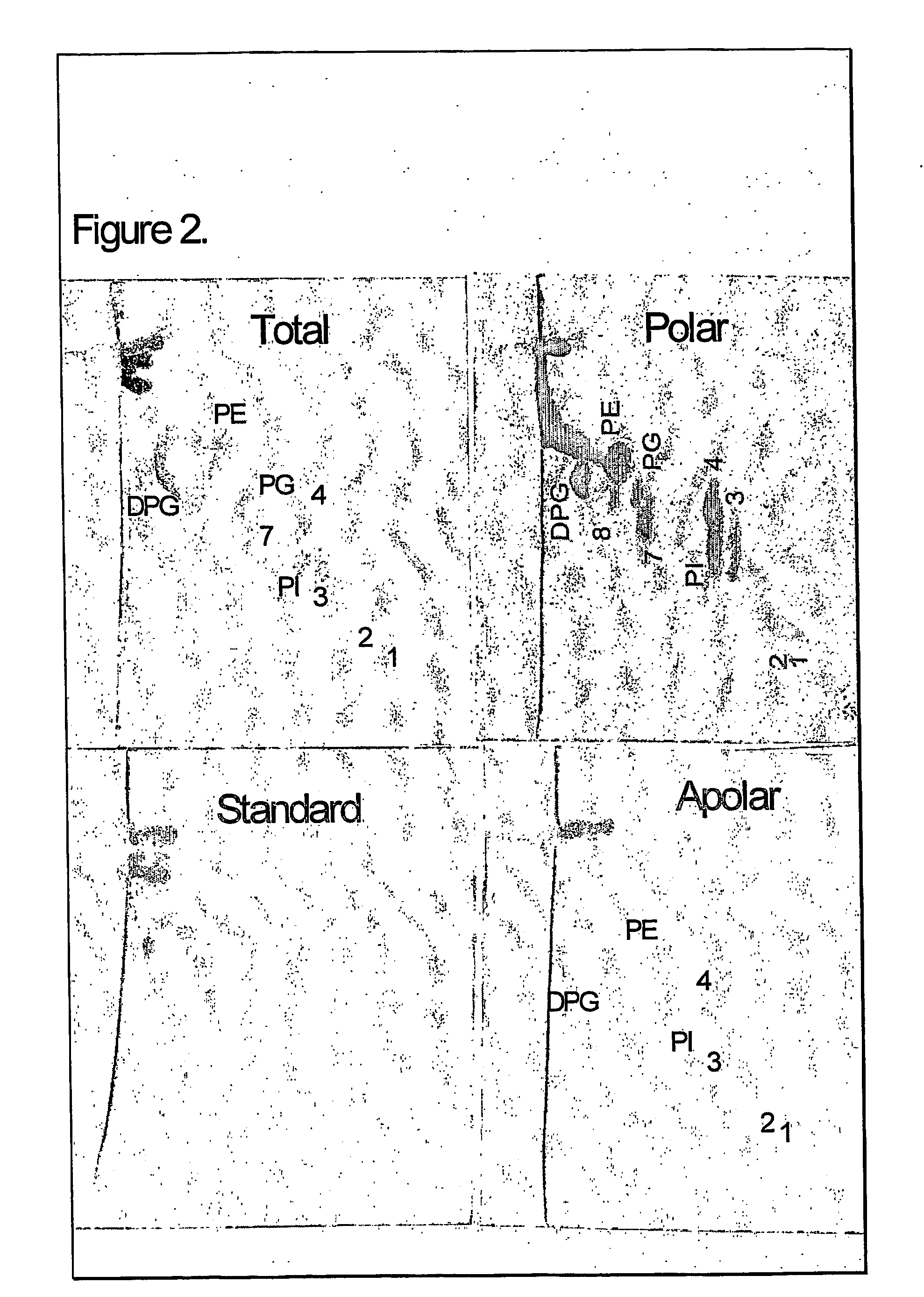 Adjuvant combinations of liposomes and mycobacteriaial lipids for immunization compositions and vaccines