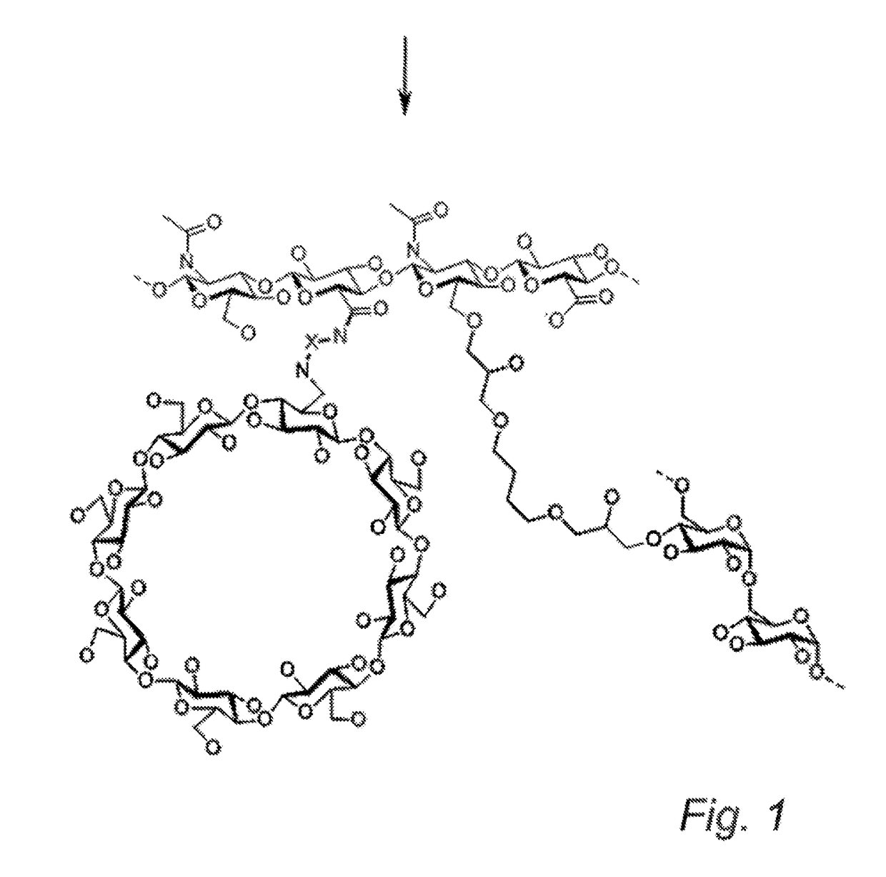 Cyclodextrin-grafted hyaluronic acid crosslinked with dextran and uses thereof