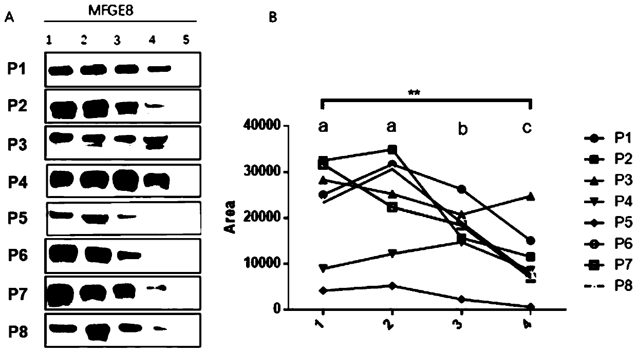 ELISA quantitative detection method of lactadherin or mucins 1 based on milk fat globule membrane characteristics