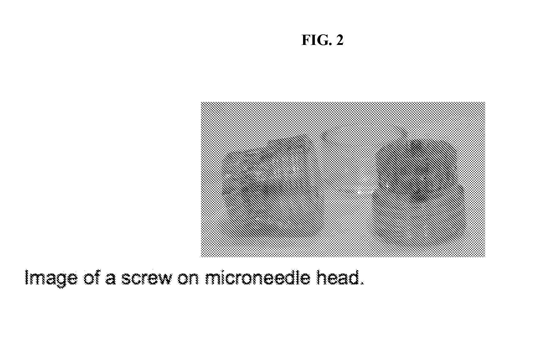 Direct application system and method for the delivery of bioactive compositions and formulations
