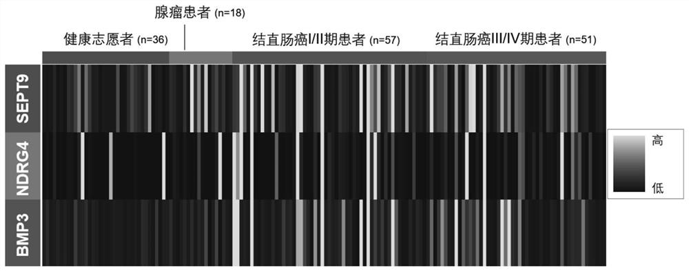 Colorectal cancer screening method based on excrement sample