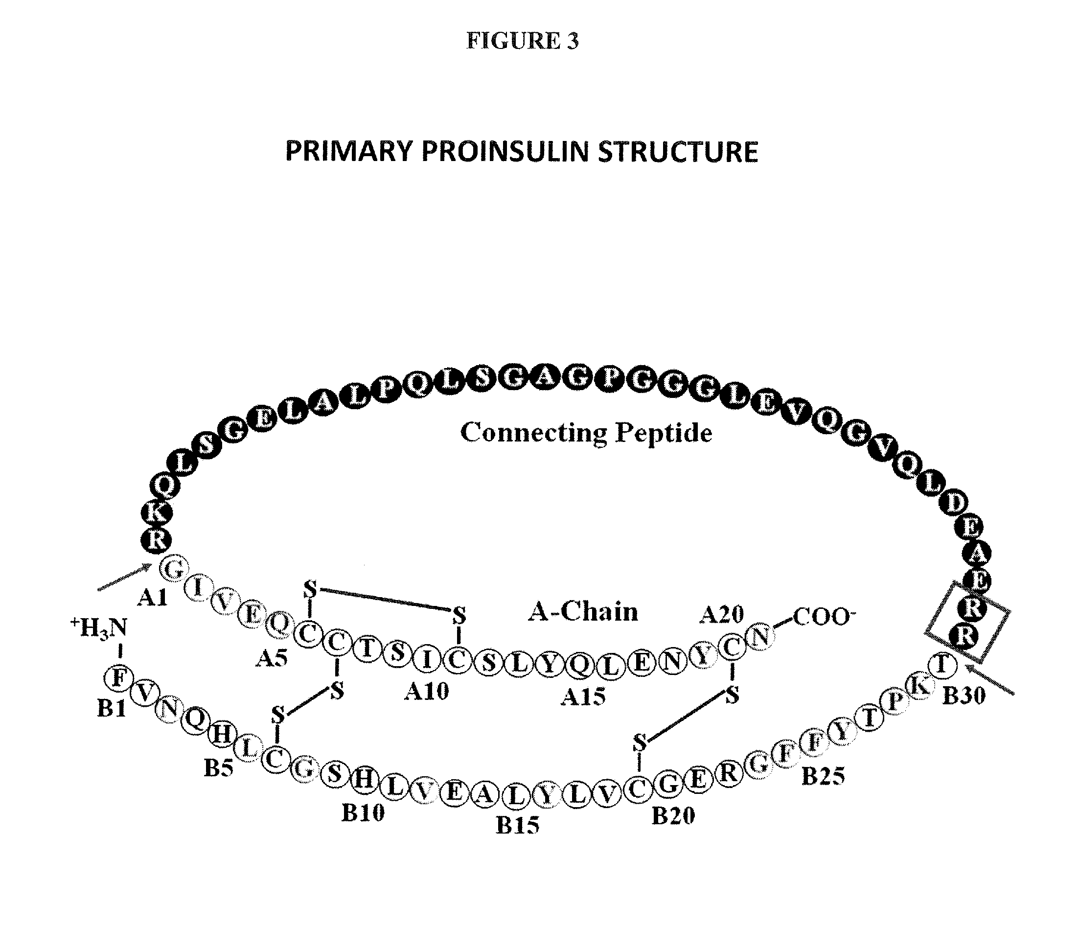 Modified Insulin Polypeptides and Their Uses