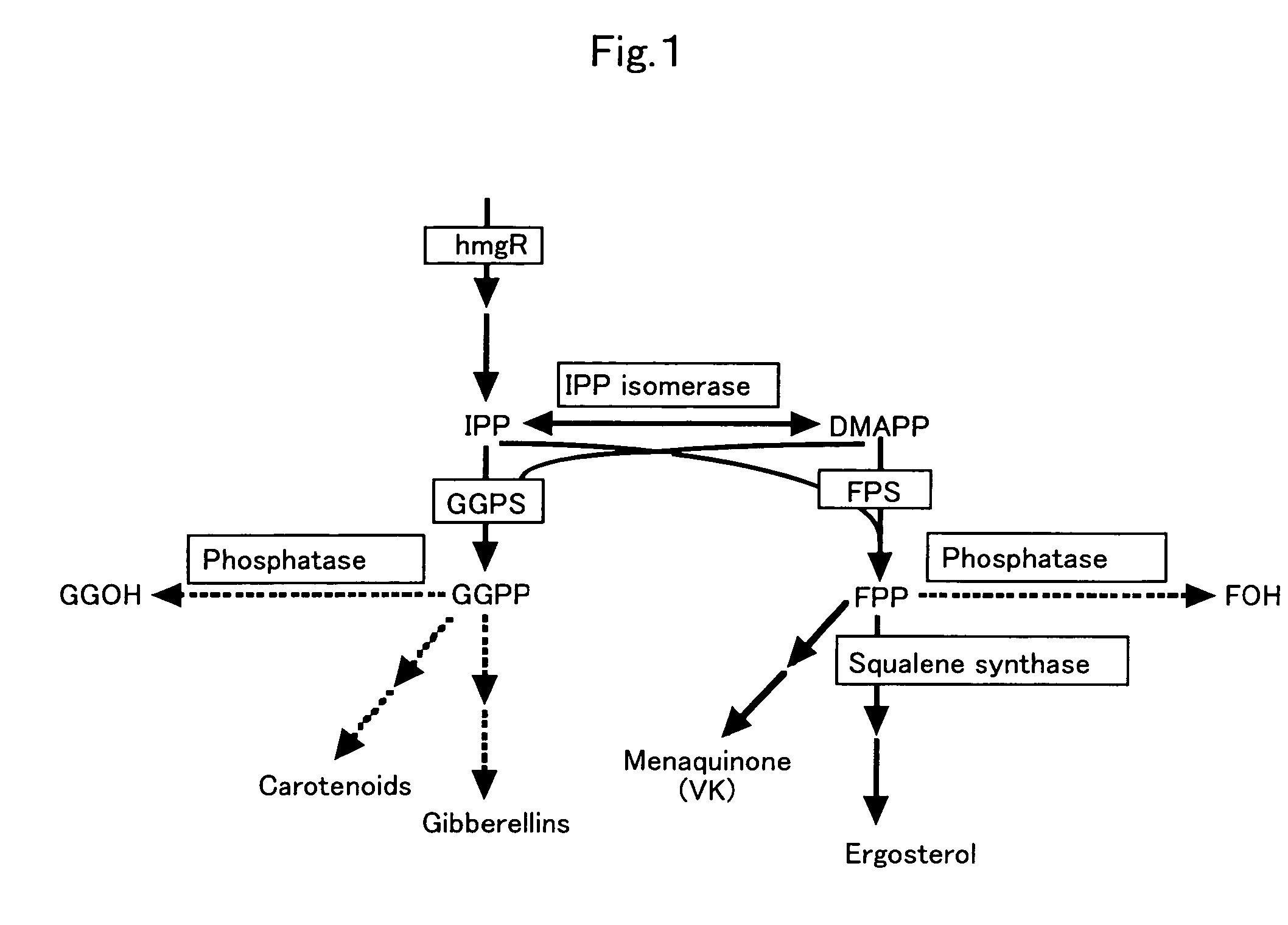 Methods of producing prenyl alcohols