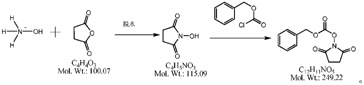 Method for synthesizing N-(carbobenzoxy) succinimide by one-pot two-phase method
