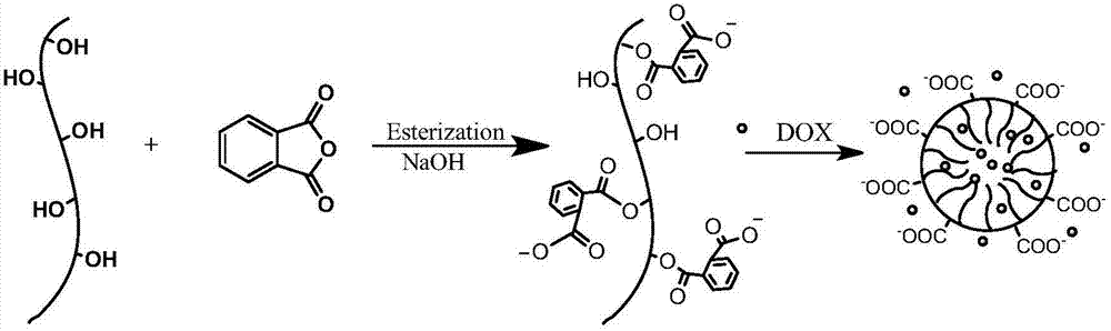 Modified xanthan gum nano-micelle preparation method