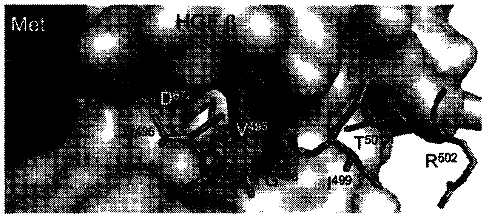 Zymogen activators