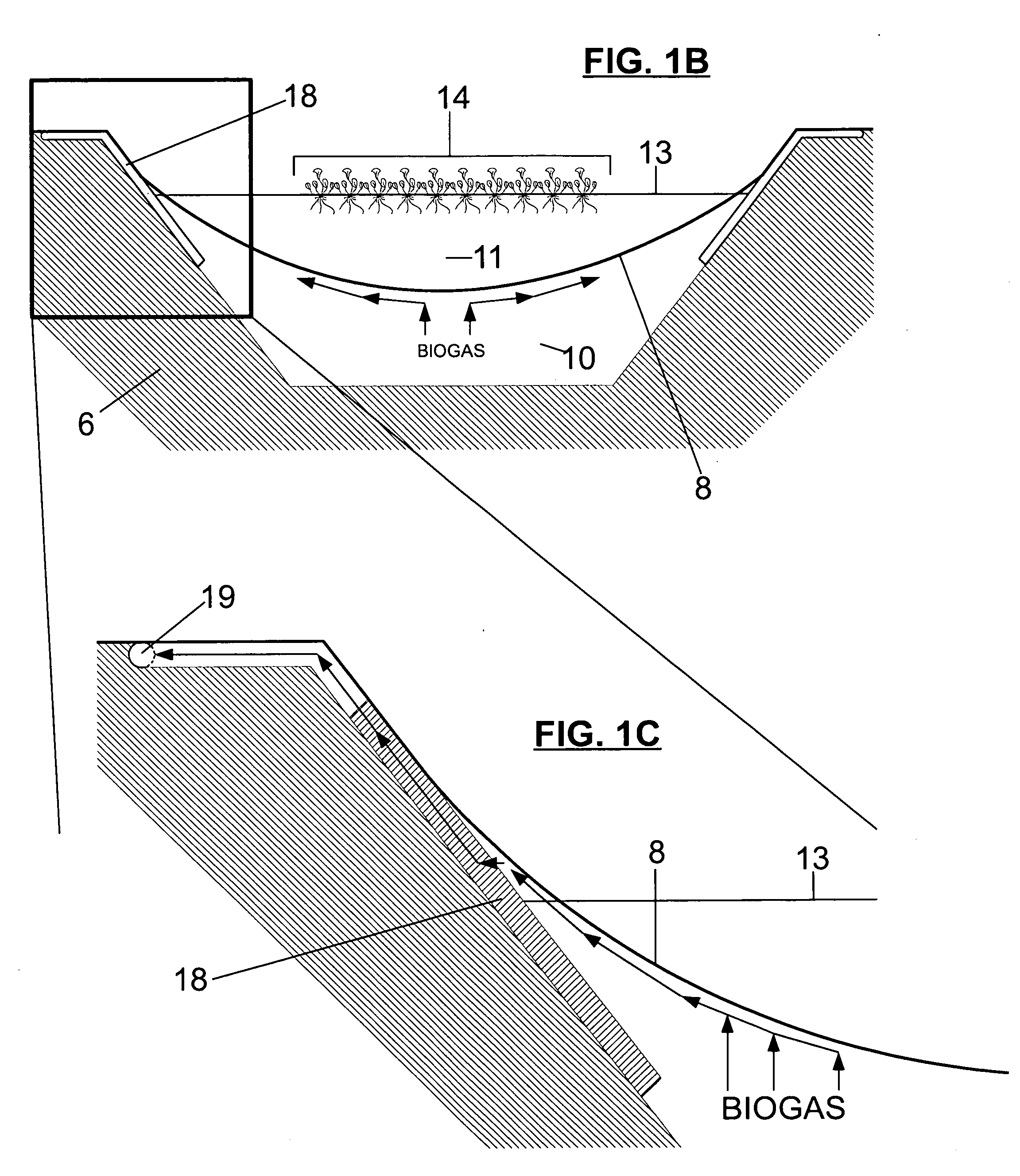 Apparatus and Method for Agricultural Animal Wastewater Treatment