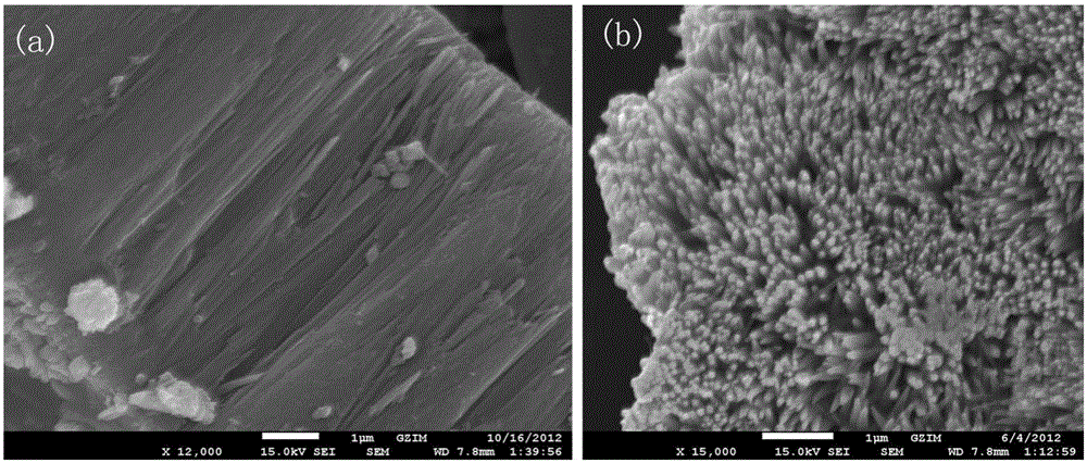 A method for preparing rutile titanium dioxide single crystal nanowire arrays at low temperature under normal pressure