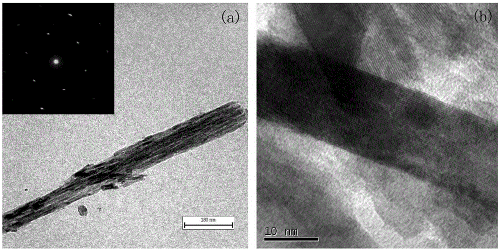 A method for preparing rutile titanium dioxide single crystal nanowire arrays at low temperature under normal pressure