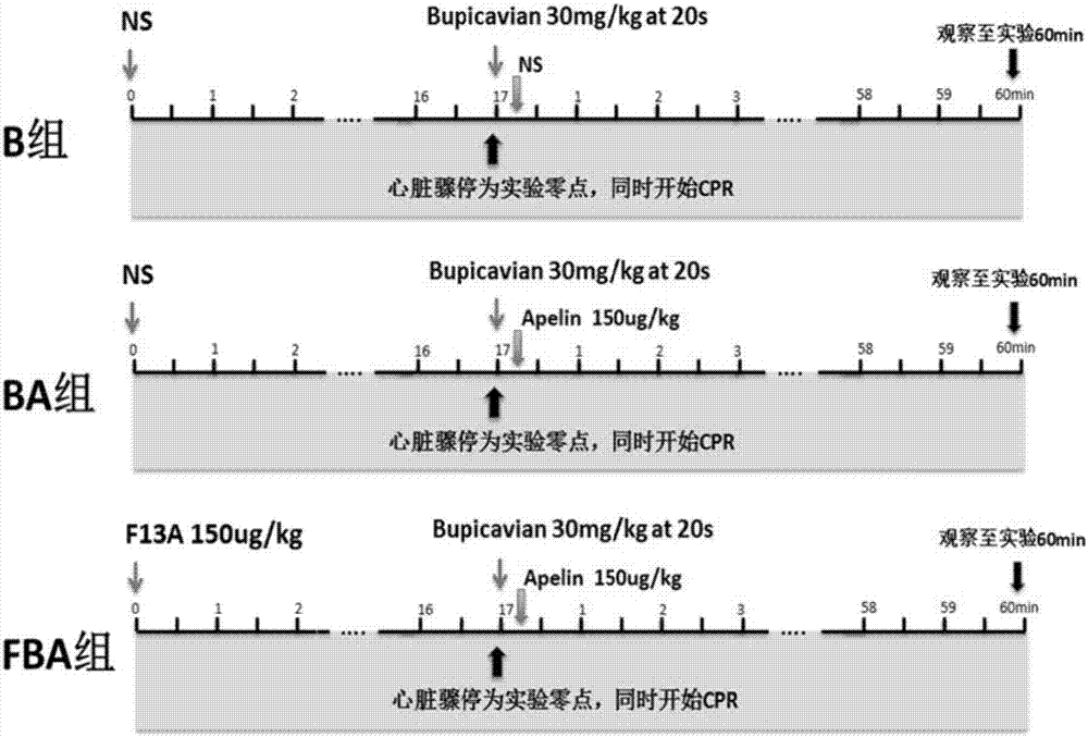 Application of [pyr1]‑apelin‑13 as a rescue drug for cardiac arrest caused by long-acting amide local anesthetic poisoning