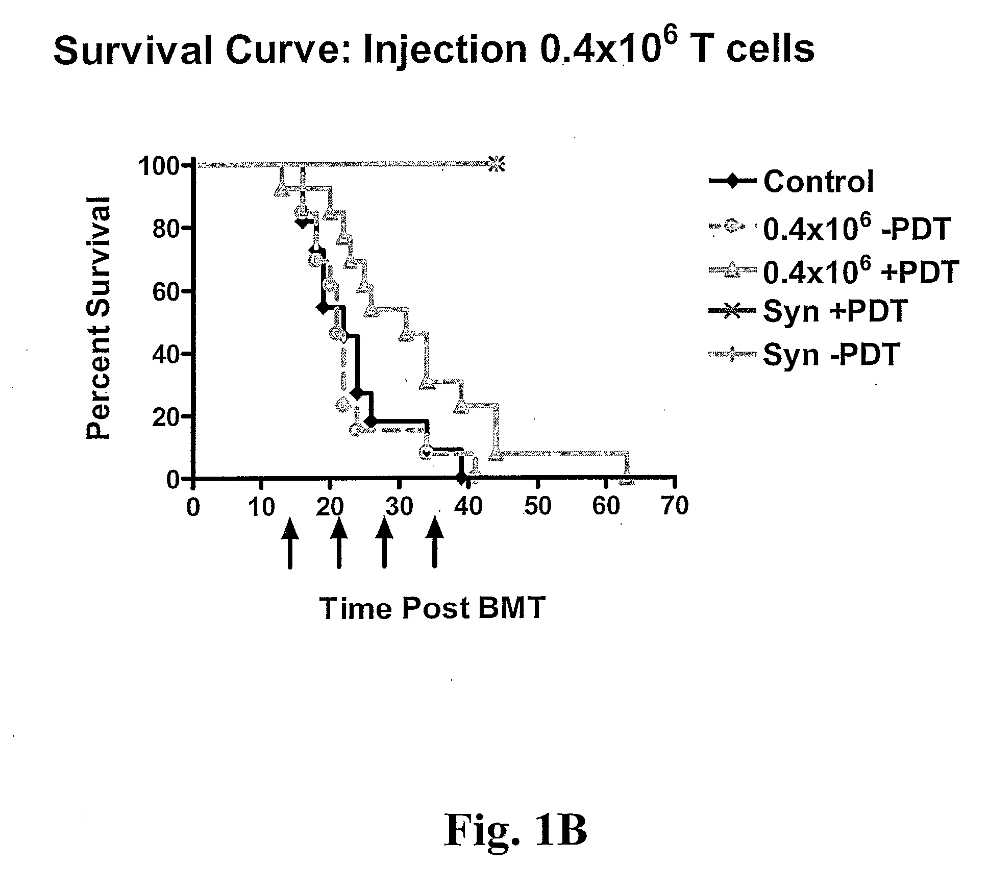 Immunologic compounds for prevention, protection, prophylaxis or treatment of immunological disorders, infections and cancer