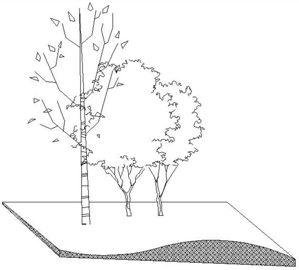 Novel sloping field multi-layer plant landscape structure