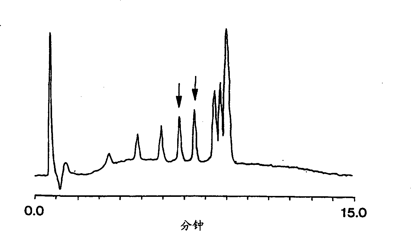 Monolithic matrix for separating nucleic acids by reverse-phase into-pair high performance liquid chromatography