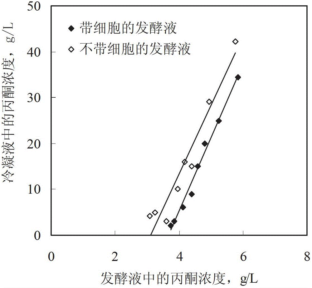 Separation and purification device and separation and purification method for butanol and acetone