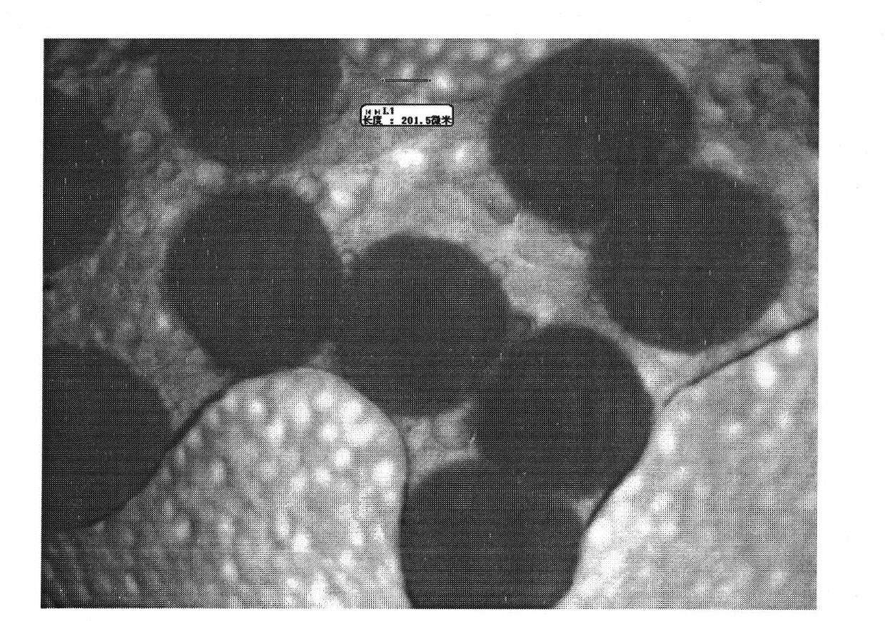 Method for preparing N-isopropyl acrylamide/multi-walled carbon nanotube composite microgel through in situ polymerization in microreactor