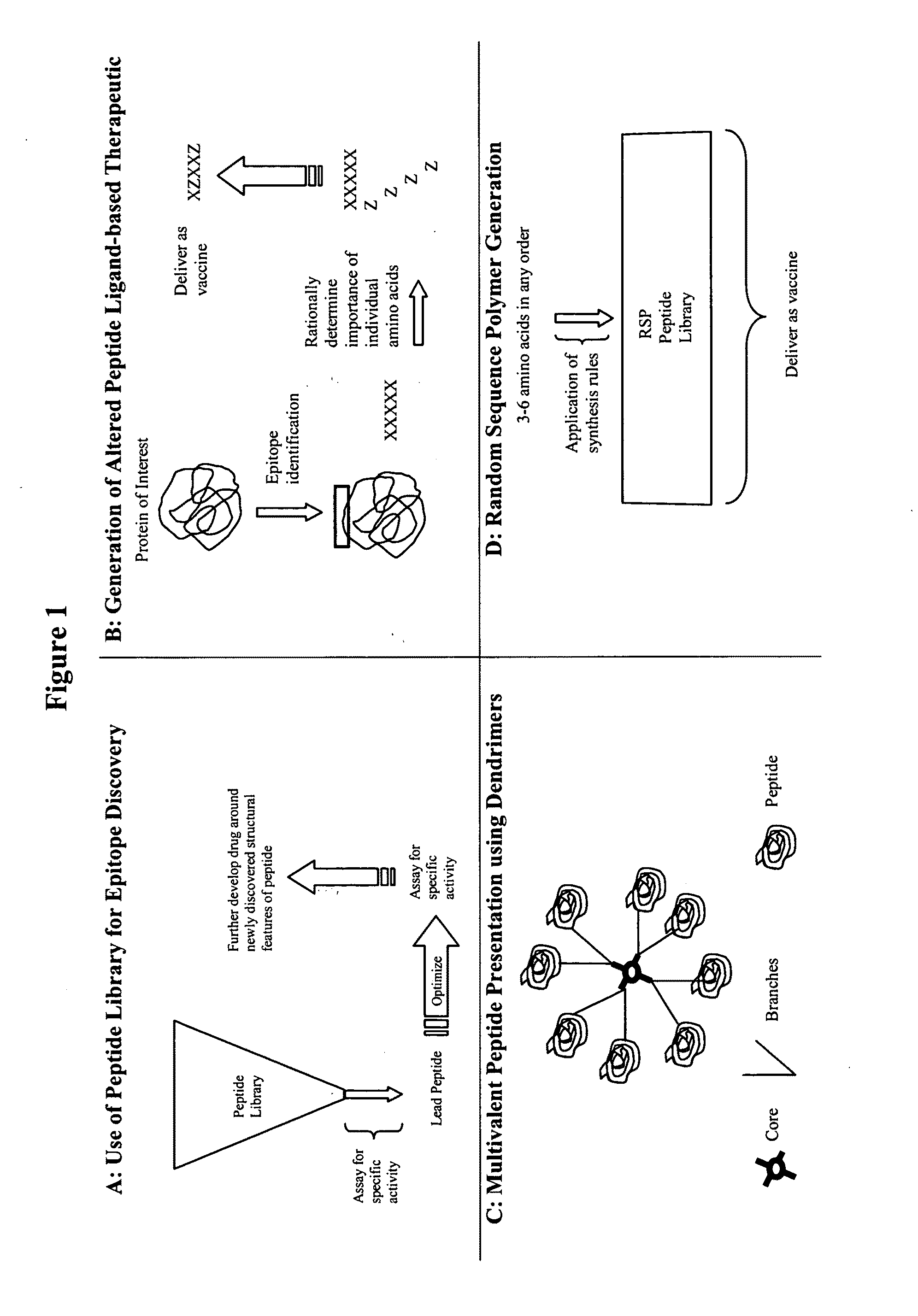 Methods for designing and preparing vaccines comprising directed sequence polymer compositions via the directed expansion of epitopes