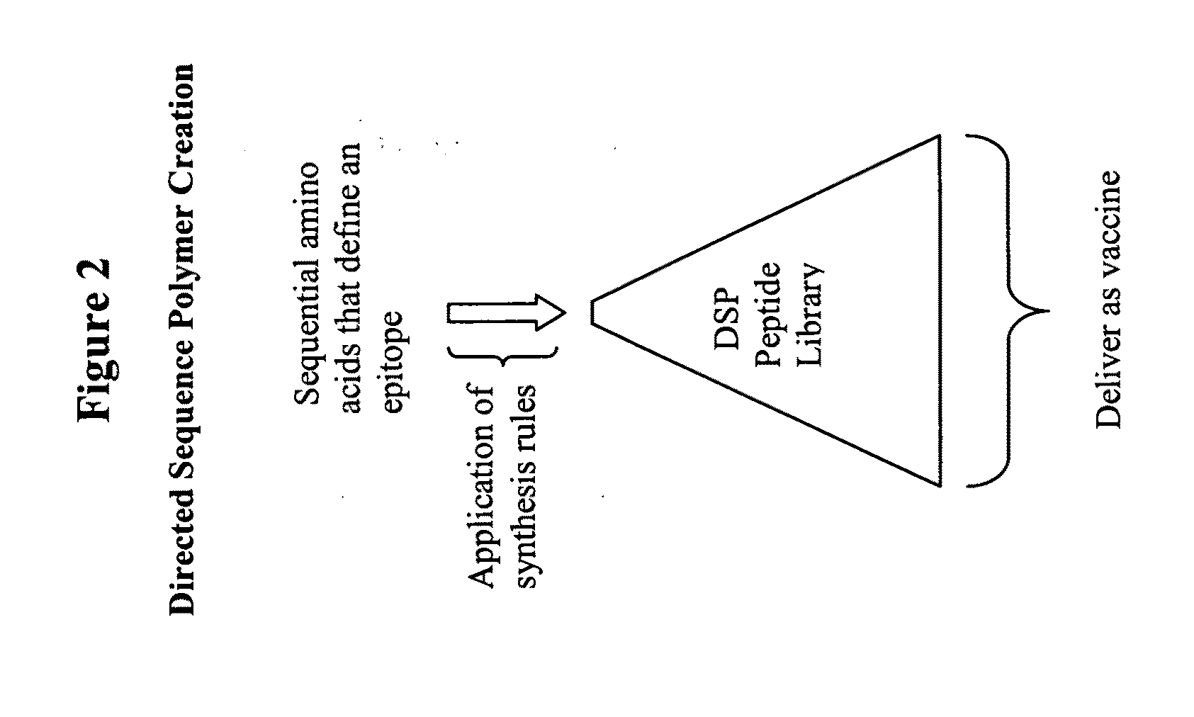 Methods for designing and preparing vaccines comprising directed sequence polymer compositions via the directed expansion of epitopes