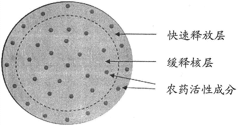 A kind of slow and controlled release pesticide granule and preparation method thereof