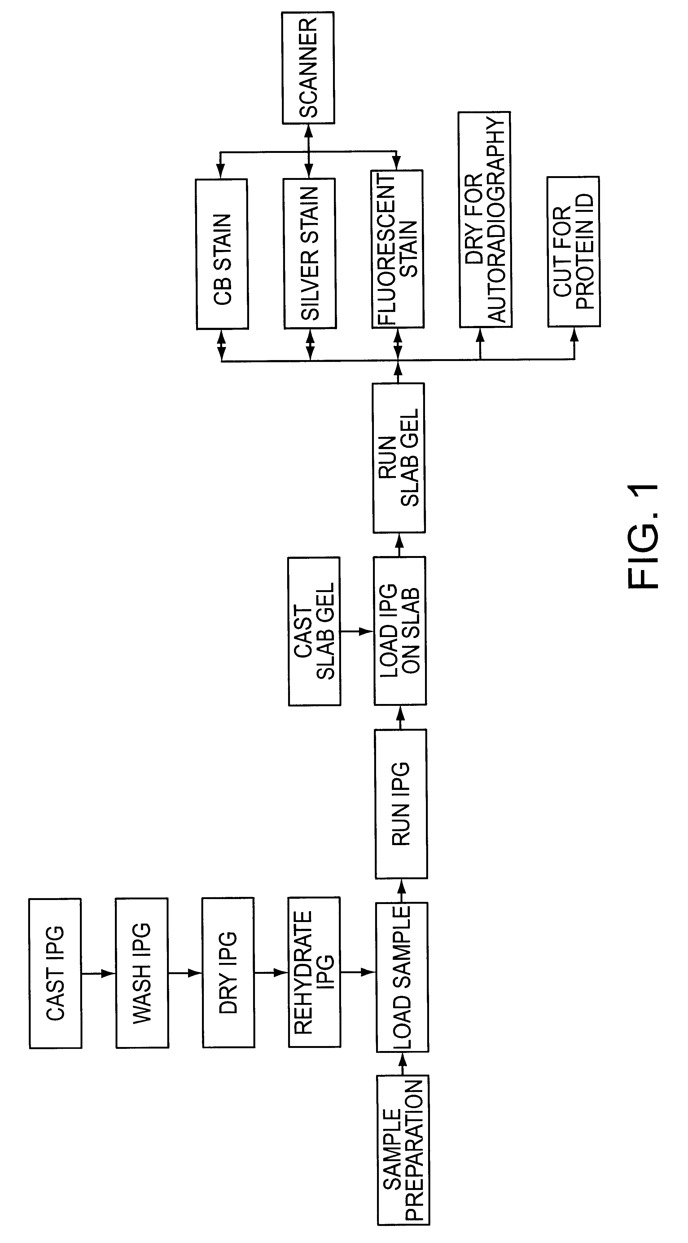 Automated system for two-dimensional electrophoresis