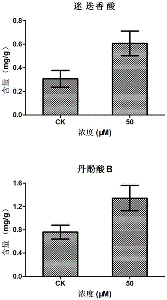 Method for promoting the accumulation of rosmarinic acid and salvianolic acid b in the hairy root of Salvia miltiorrhiza