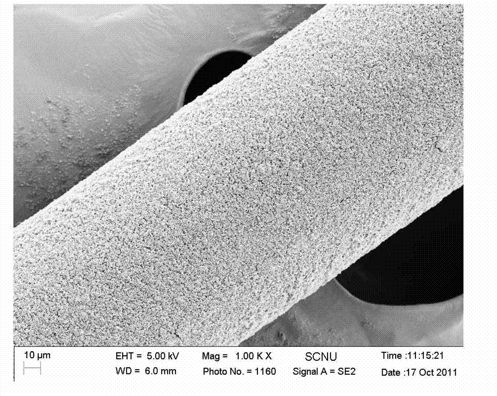 Solid-phase micro extraction fiber extraction head and preparation method thereof